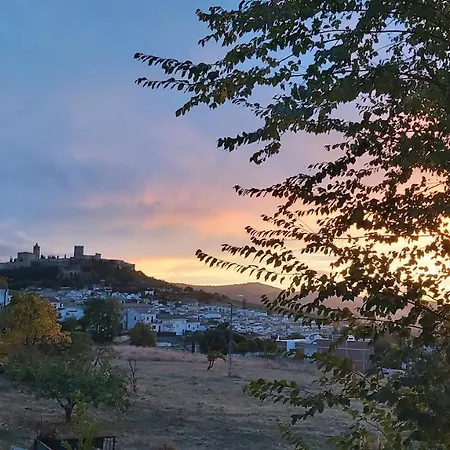 Cauchil Chico * Alcala La Real
